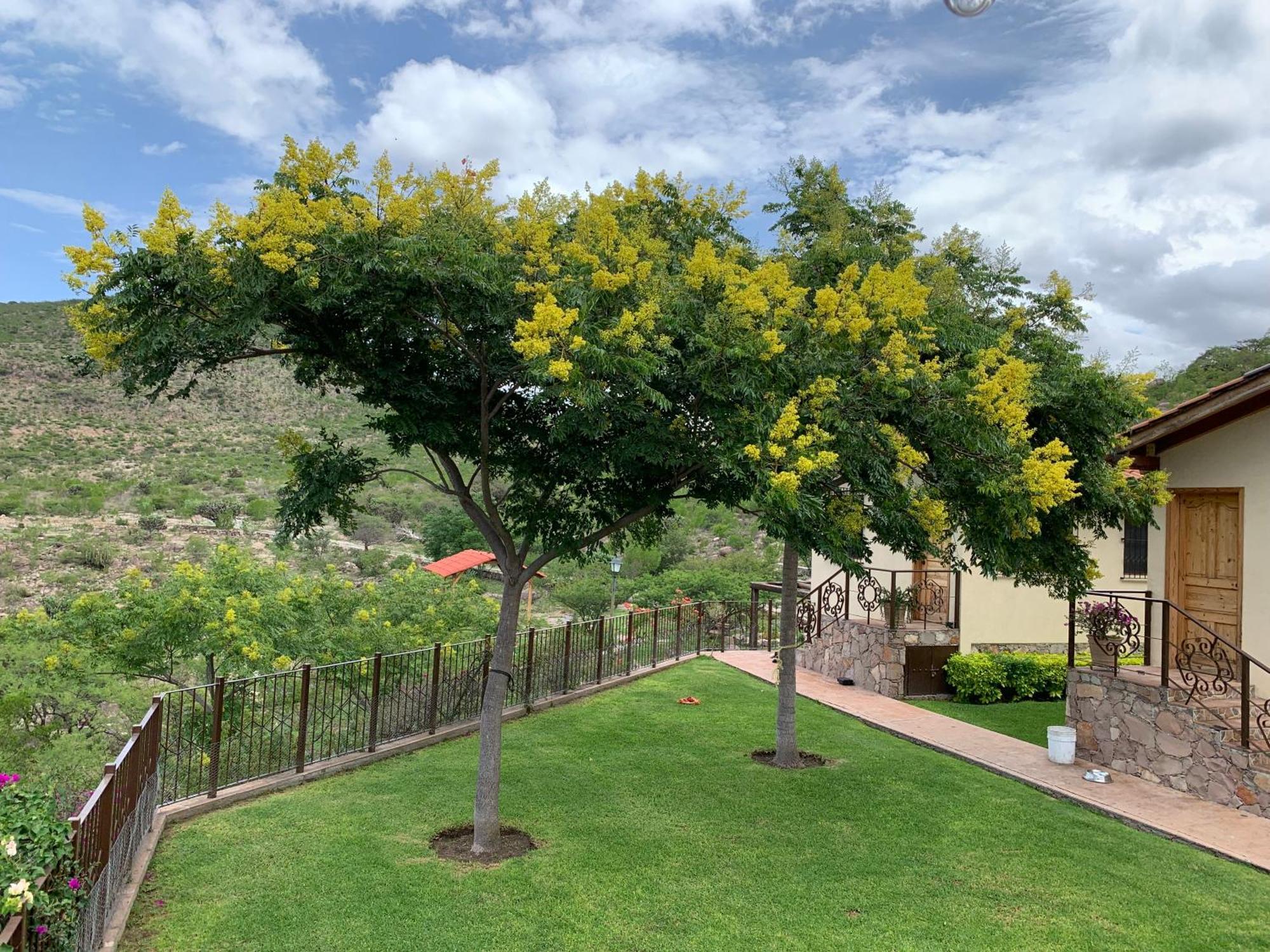 Villa Campestre La Soledad Colon 外观 照片