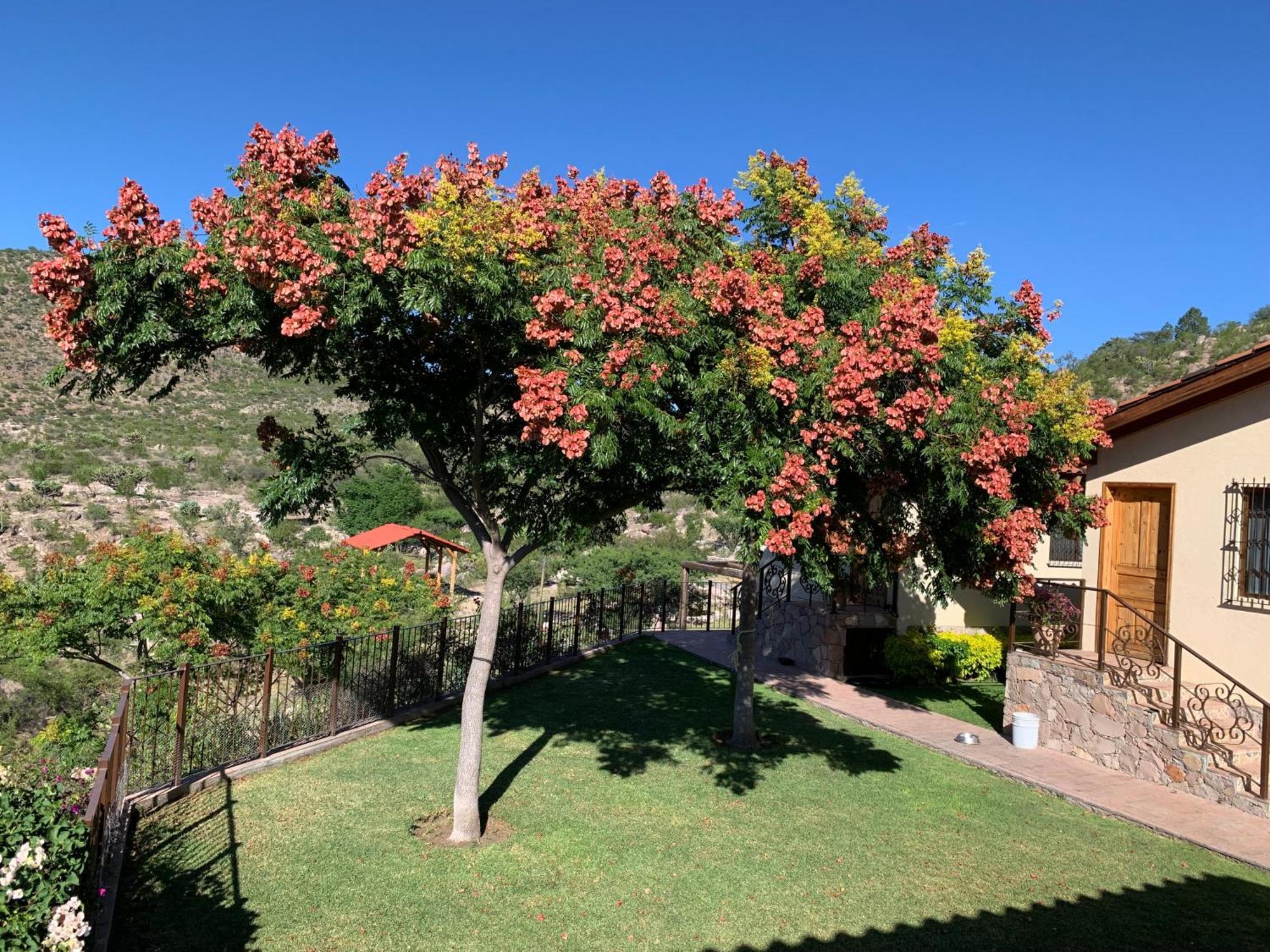 Villa Campestre La Soledad Colon 外观 照片